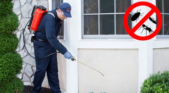 Pervari Kene İlaçlama böcek ilaçlama ve haşere kontrolü — ilaclama-tr.com